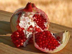 Pomegranate from 러시아 supplied by Globus Group - Conventional 신선 석류