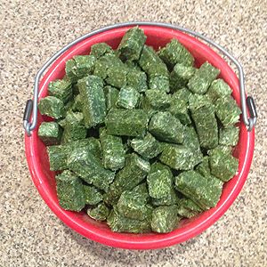 Alfalfa Cubes from United States supplied by HAY-RITE - Green Alfalfa