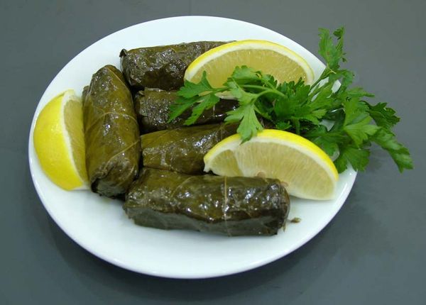 Frozen grape leaves from 이집트 supplied by First choice - 포도 나뭇잎