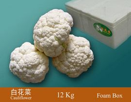 Cauliflower from 중국 supplied by Shenzhen Maoxiong Industrial Co., Ltd. - White Cauliflower 신선 콜리플라워