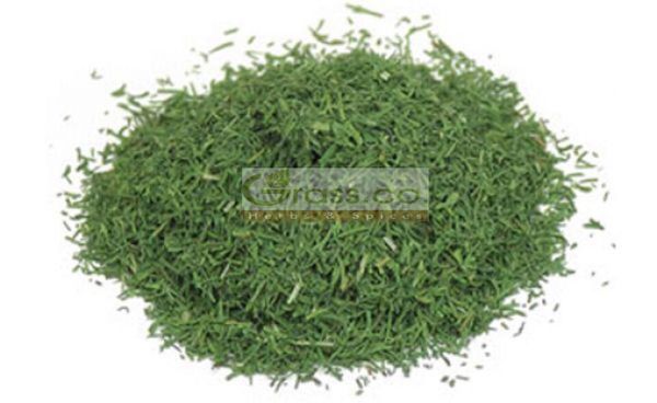 Dill from 이집트 supplied by Grass Co. Herbs and Spices - Conventional 딜