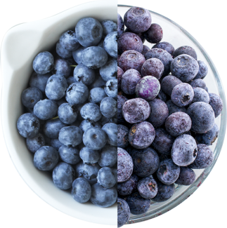 Fresh Blueberries from 포르투갈 supplied by Acegrow SA - Whole 신선 블루베리