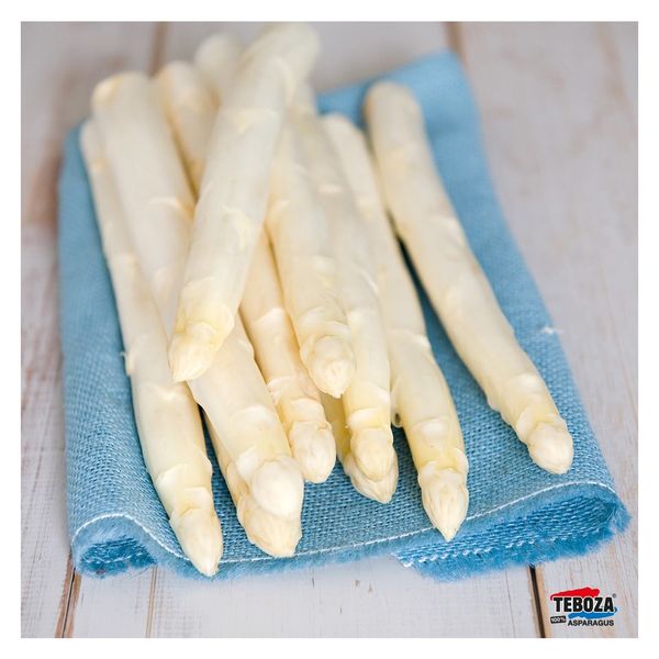 Asparagus from 네덜란드 supplied by Teboza - White 신선 아스파라거스