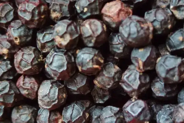 Black Pepper from Indonesia supplied by Fanata Group - Black Whole Black Peppercorn