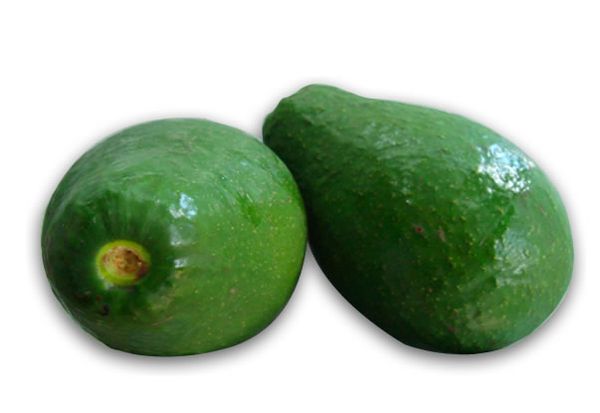 Avocado from 도미니카공화국 supplied by Aridom Srl. - Green 신선 아보카도