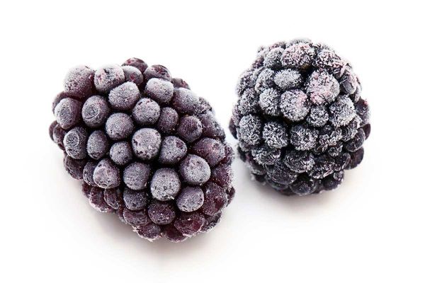 Blackberry from Serbia supplied by RISMEN D.O.O. - Frozen Fresh Blackberry