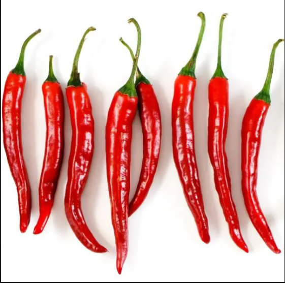 Red Pepper from 파키스탄 supplied by Ahad farm - 하이브리드 품종 말린 통고추