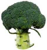 Broccoli from 스페인 supplied by Unexport - Green 신선 브로콜리 꽃