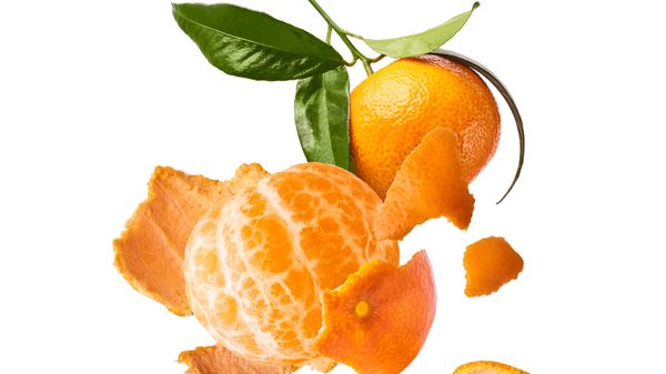 Kinnow Mandarin from 파키스탄 supplied by Max Trading Company - Kinnow 신선 만다린