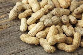 Peanut from Germany supplied by Obst und Gemüse Großhandel - Whole Peanut Kernel