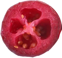 Cranberry from 미국 supplied by Race-West Company - Red 신선 크랜베리