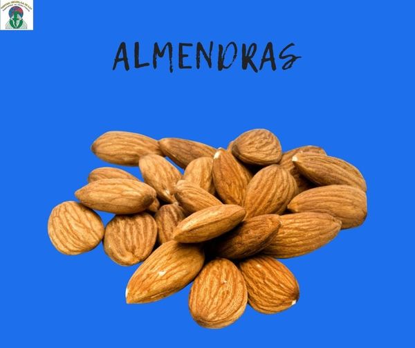 Almond from 멕시코 supplied by Central Chilera S - 갈색 아몬드 알맹이