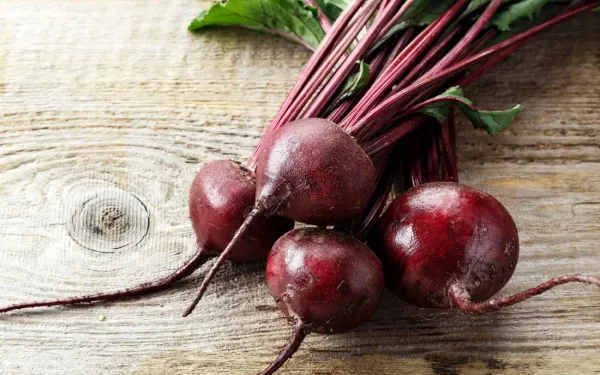Beetroot from 독일 supplied by Güstrower Bio-Garten & Lohnmosterei - Crates & Bins 신선 비트