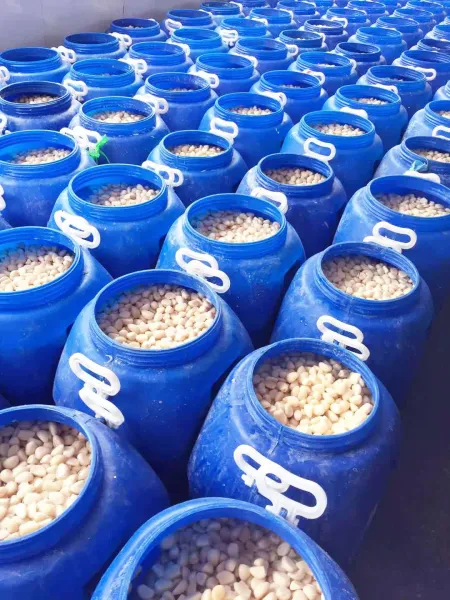Preserving Cloves Garlic In Brine from 중국 supplied by Zhangzhou Zhentian Trading Co.,Ltd - 클로브 마늘 가공품