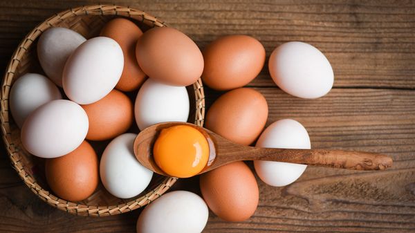 Fresh Chicken Egg from 루마니아 supplied by Avis 3000 - In Shell 달걀