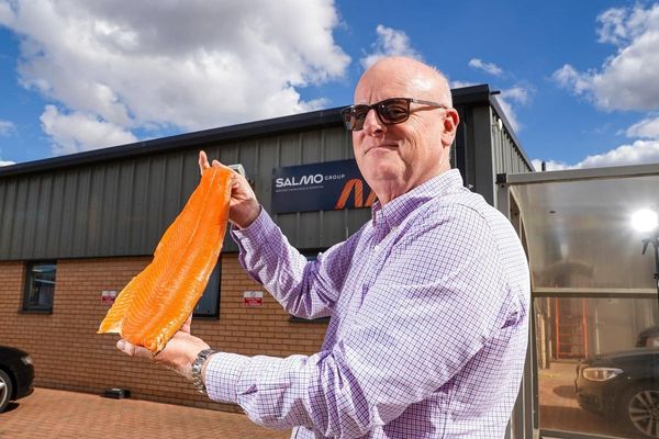 Fresh Salmon Fillet from United Kingdom supplied by Salmo Group Ltd - Fresh (=Chilled=Raw) Fresh Salmon Fillet