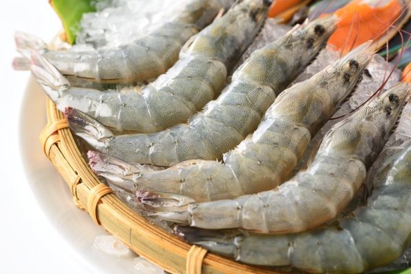 Fresh Raw Shrimp from 태국 supplied by Thai Royal Frozen Food Co., Ltd. - Whole 냉동 새우