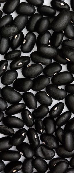 Black Bean from 미국 supplied by Nexus Trading Group, Llc - Black 말린 일반 콩