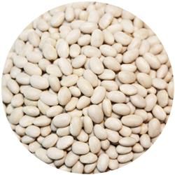 Common Bean from 브라질 supplied by Saagros Com. Ind. Importacao e Exportacao de Cereais Ltda. - Carioca 말린 일반 콩