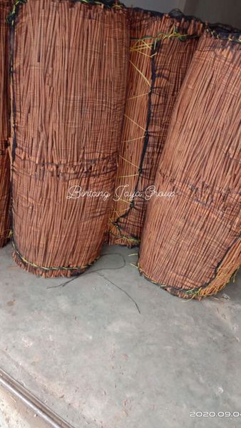 Kerinci AA Cassia Vera (Cinnamomum) from 인도네시아 supplied by bintang jaya group indonesia - Korintje Cinnamon (=Indonesian Cinnamon=Padang Cassia) 시나몬