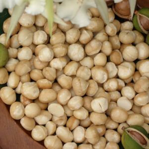 Macadamia, shelled from United States supplied by Lions gate - Raw (=Natural) Macadamia Kernel