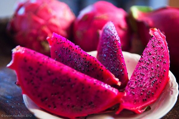 Dragon Fruit from 베트남 supplied by Saigon Import Export And Distribution Company Limited - Red Flesh 신선 용과