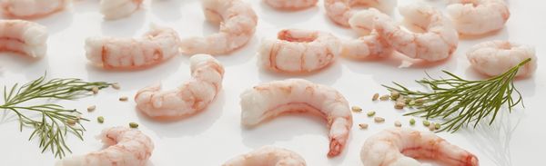 Frozen Shrimp from 아이슬란드 supplied by Dögun ehf - Dawn - Peeled 냉동 새우