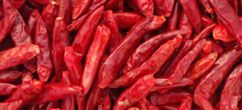 Chili Whole from 인도 supplied by ASIAN FOODS INDUSTRIES - Ground 말린 통고추