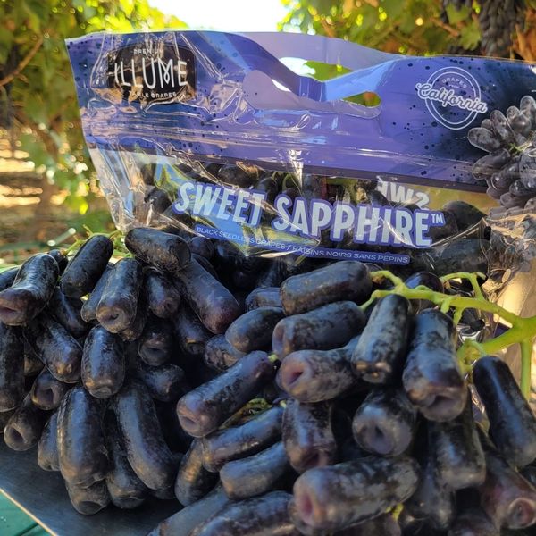 Fresh Grape from 미국 supplied by Illume Agriculture - Natural 신선 포도