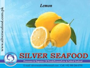Lemon from 파키스탄 supplied by Silver Seafood - Whole 신선 레몬