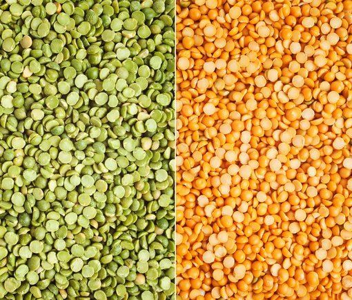 Lentil from 말라위 supplied by Export Trading Company Ltd - Green Lentil 말린 렌틸