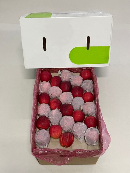 Apple from Portugal supplied by Lusopera - Carton Box (=Cardboard Box) Fresh Apple