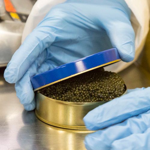 Caviar from 미국 supplied by Catsmo, LLC - Fresh (=Chilled=Raw) 캐비아