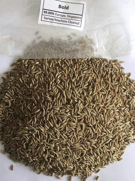 Cumin Seed from 인도 supplied by GIGAWATT SPICES(A COMPANY OF RAJBINDU GIGAWATT PVT LTD) - As per customer's request 혼합 향신료 상품