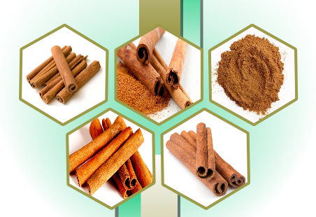 Cinnamon from 인도네시아 supplied by CV. Central Agro Indonesia - Dried 시나몬