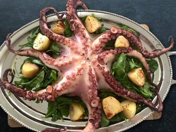 Octopus from United Kingdom supplied by AO Seafood Ltd - Fresh (=Chilled=Raw) Fresh Octopus