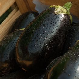 Dried Organic Eggplant from 프랑스 supplied by Coopérative de la Ferme Saint André - Purple (=Violet) 가지