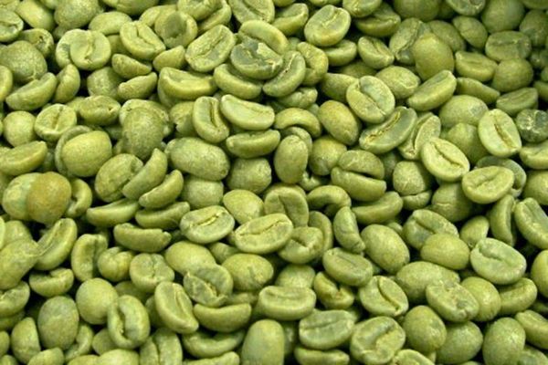 Coffee Bean from Rwanda supplied by Mountain Coffee - Honey Process Raw Common Coffee Bean