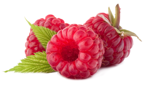 Raspberries from 네덜란드 supplied by Olympic Fruit Bv - Fresh (=Chilled) 신선 라즈베리