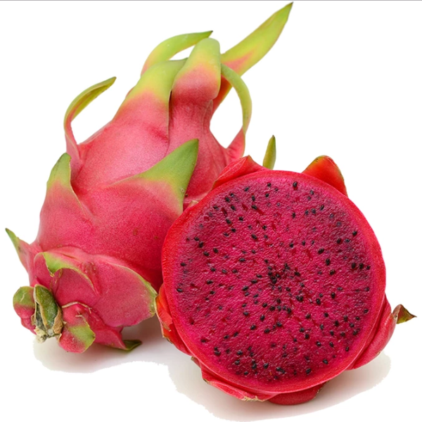 IQF RED DRAGON FRUIT from 베트남 supplied by An Giang Fruit-Vegetables & Foodstuff Joint Stock Company (ANTESCO) - Purple 신선 용과