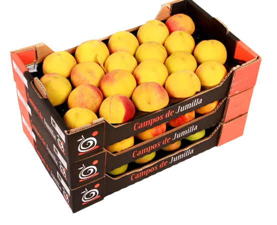 Fresh Whole Yellow Peach from Spain supplied by CAMPOS DE JUMILLA - Yellow Skin Color Fresh Peach