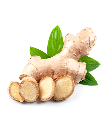 Ginger from Brazil supplied by UGBP - Conventional Whole Ginger