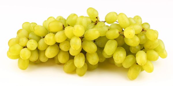 Fresh Seedless Grape from Germany supplied by Günaydin Trading GmbH - Green (=Unripe=Sour) Fresh Grape