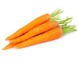 Carrot from 벨기에 supplied by Dauchy Potatos - Orange 신선 당근
