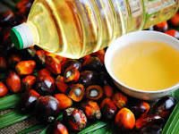 Palm oil from 말레이시아 supplied by ROMAR TRADE PTY LTD - 24도 RBD 팜유