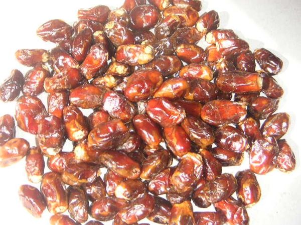 Fresh Date from Pakistan supplied by Canampak Dates Industry - Khahrba Fresh Date