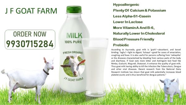 Goat Milk from India supplied by J F GOAT FARM - Raw Goat Milk