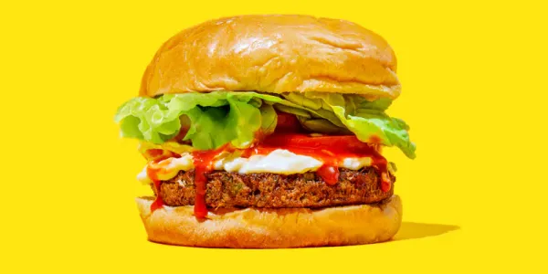 Vegetable Burgers from United States supplied by Hilary's - Organic Vegetable Snack