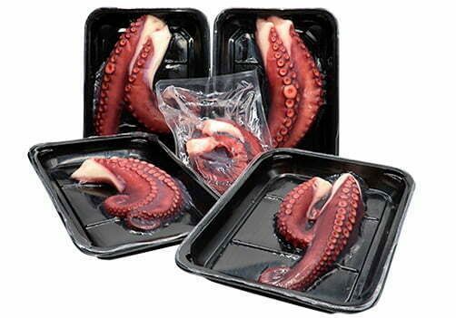 Frozen Octopus from United States supplied by Discefa - Cuts Frozen Octopus