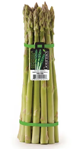 Green Asparagus from 미국 supplied by NZ Gourmet de México - Green 신선 아스파라거스